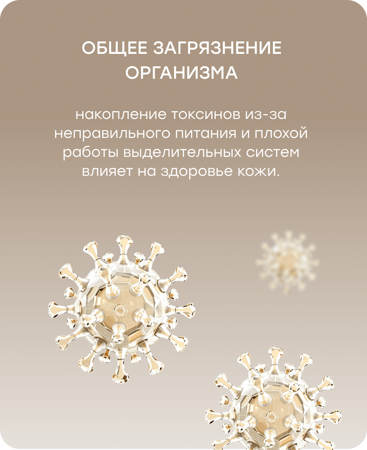 Баннер