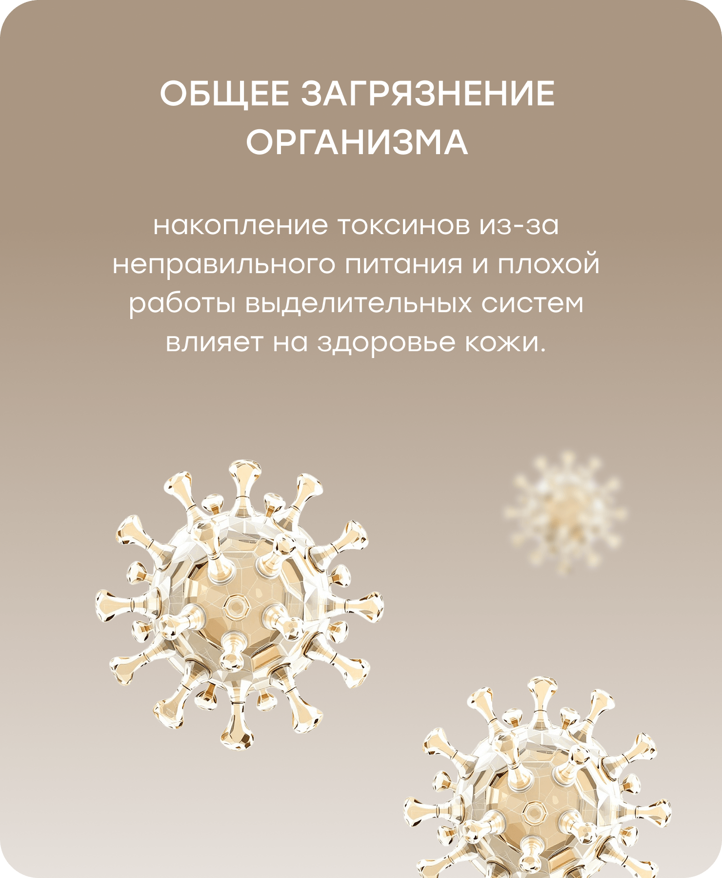 Баннер