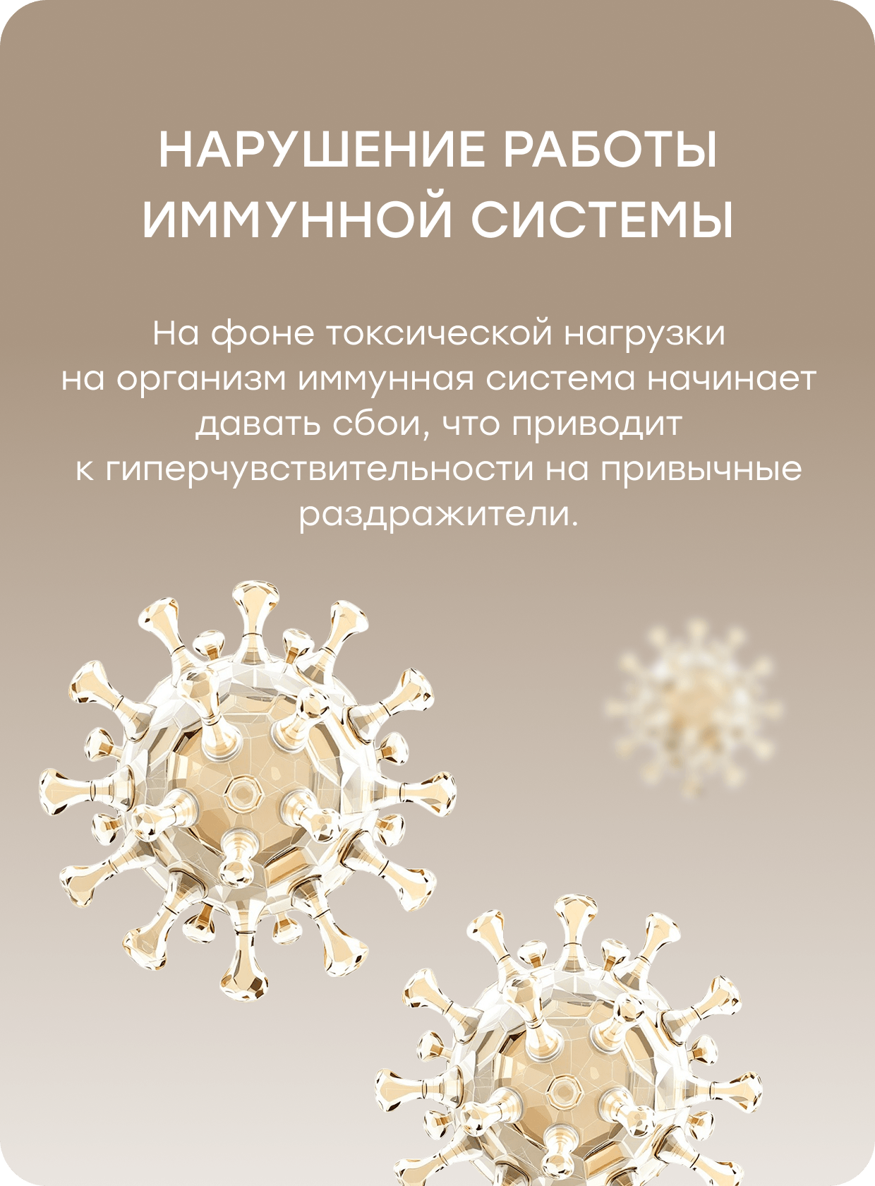 Баннер