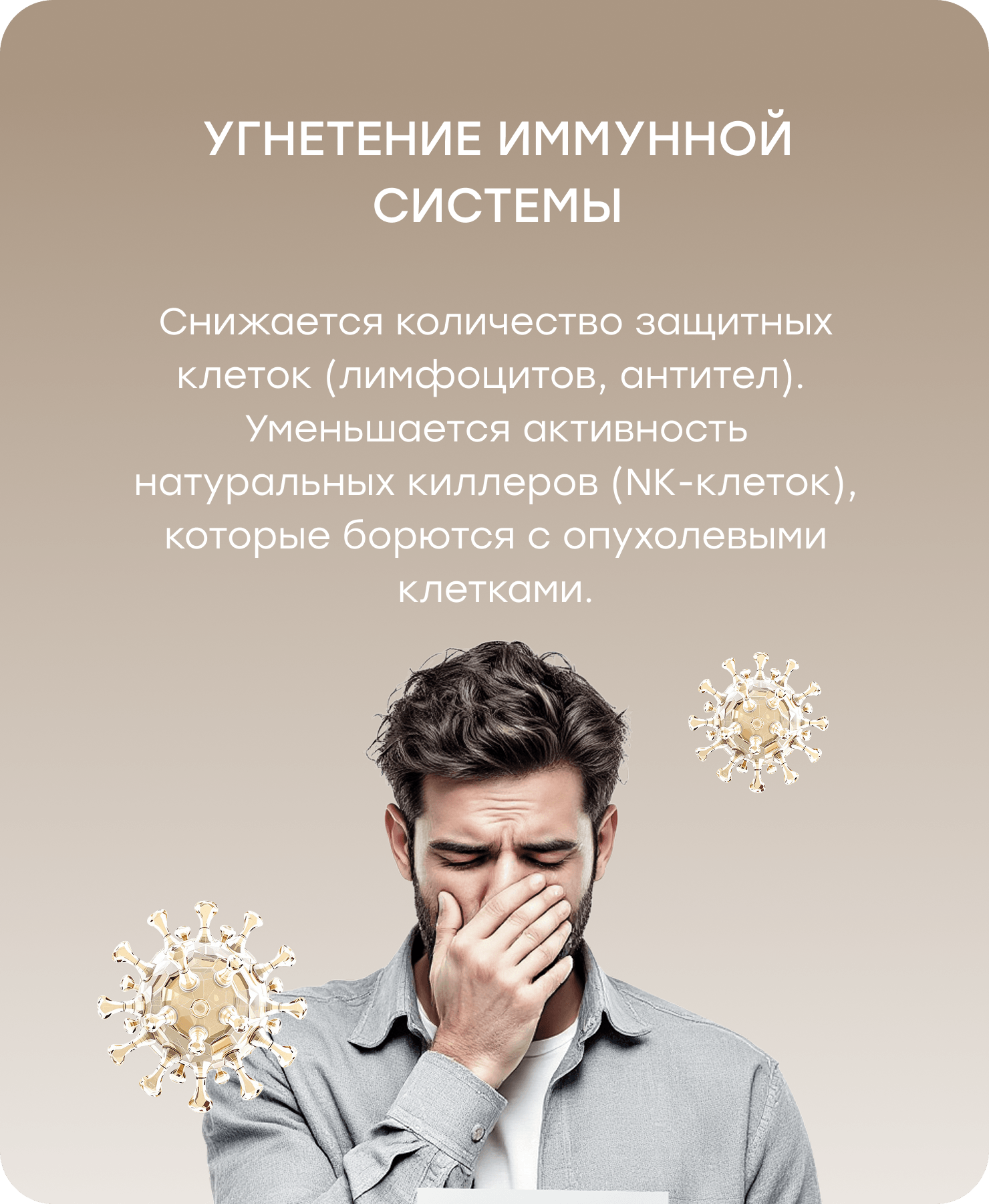 Баннер